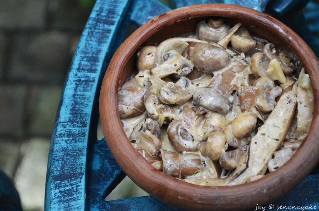 Creamy-mushroom-curry