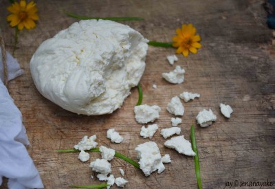 part skim ricotta cheese recipes